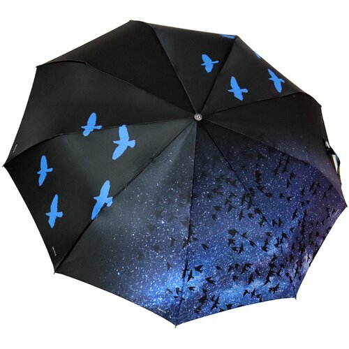 Зонт Dolphin, черный, синий